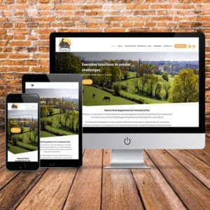 E-Commerce wordpress website design and development
