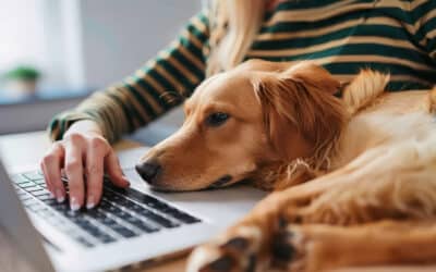 Balancing Web Design Company, Family & Chaos