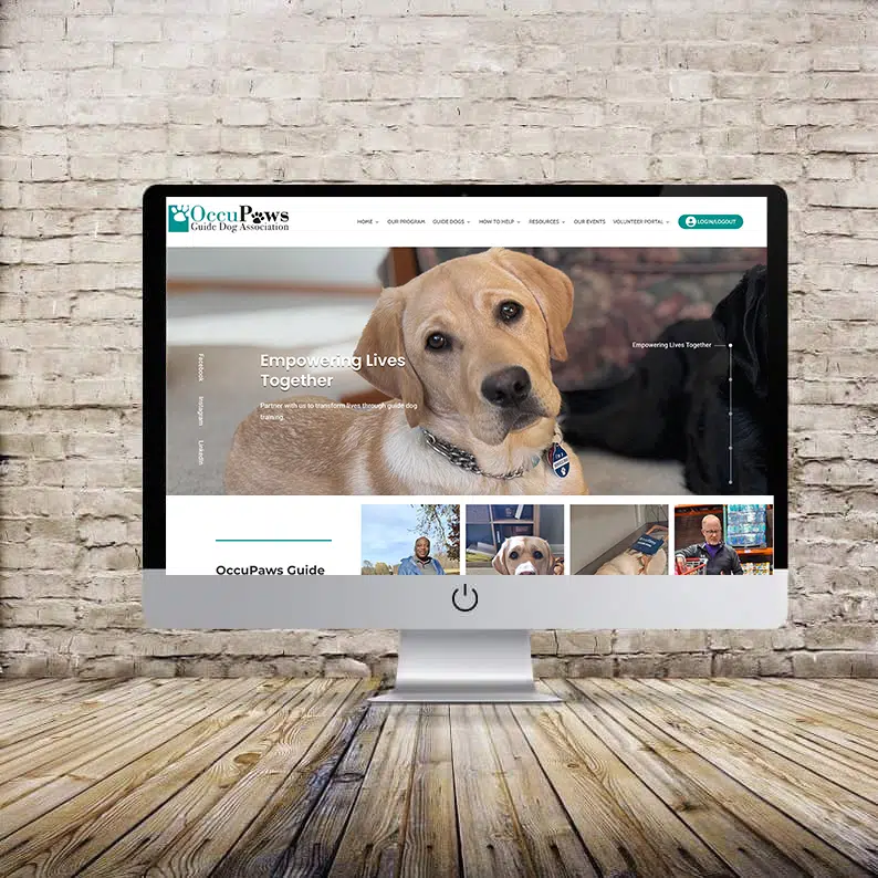 occupaws | Responsive WordPress website design Development